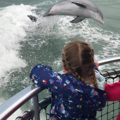 Girl & dolphin